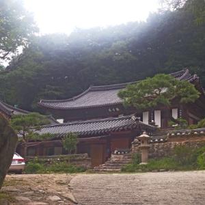 계룡산 동학사 2-5 (2016. 7. 31)