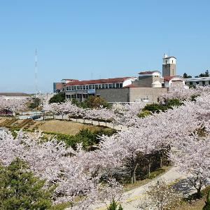 [정례] (10월 3일 10시 이후 배포 가능)공무원 실용 외국어 학습 주말에도 열기