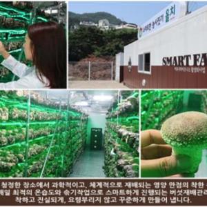 부산시, 도시형 스마트팜 연계 사회적경제 활성화 박차