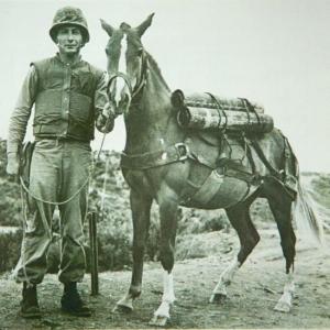 6. 철조망 우회 및 넘는 법, 안장없이 눕고 통신선 구별 완벽 수행